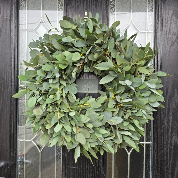 Fresh Eucalyptus Wreath