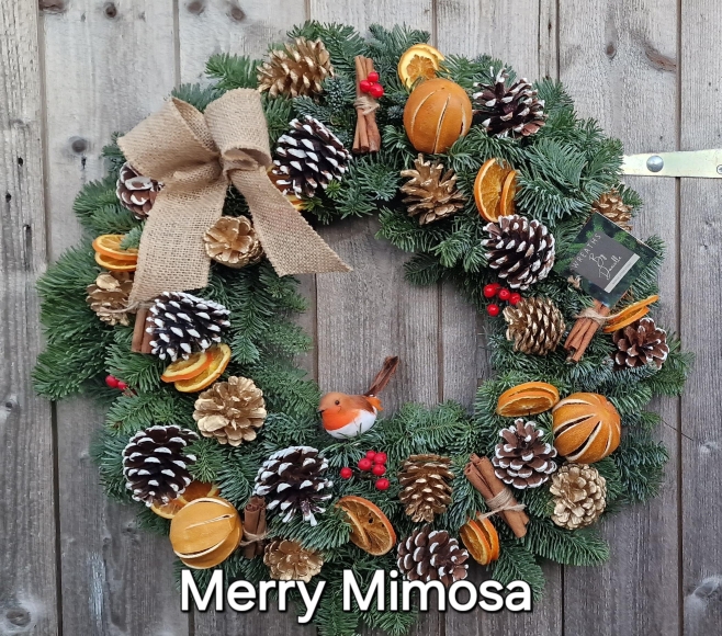 Merry Mimosa