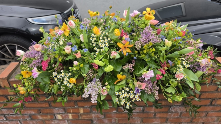 Wild & Nature inspired